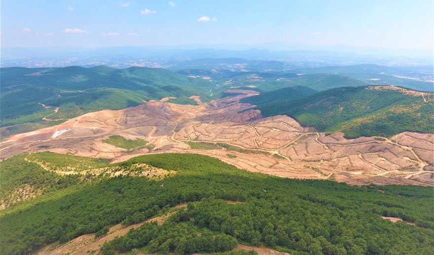 Kaz Dağları’ndan sevindirici haber..